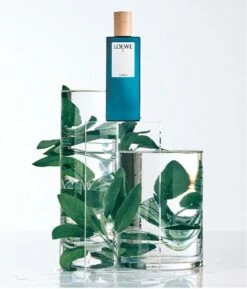 Loewe - Herenparfum - 7 Cobalt - Eau De Parfum 100 Ml -Parfumwinkel 1026x1200 3