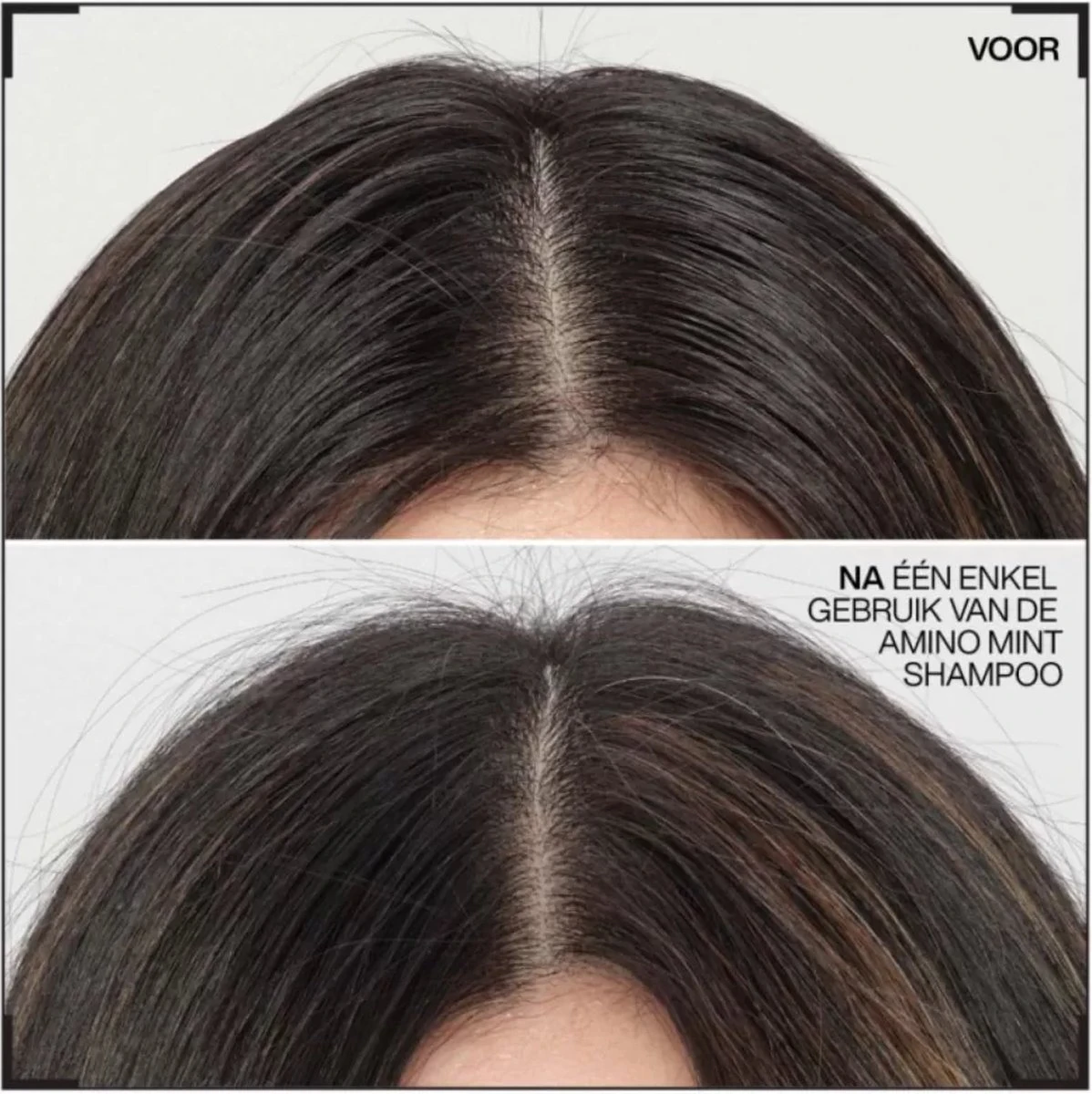 Redken Amino Mint Shampoo 1000 Ml 2 Redken Amino Mint Shampoo 1000 Ml - Afbeelding 2