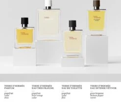 Hermès Terre D'Hermès 50ml - Eau De Toilette - Herenparfum -Parfumwinkel 1200x1014 3