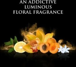 Beyonce Rise - 100ml - Eau De Parfum -Parfumwinkel 1200x1068