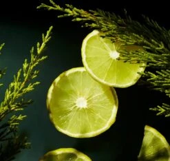 RITUALS Life Is A Journey - Homme Car Perfume - 6 Ml -Parfumwinkel 1200x1136 4