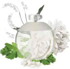 Noa Cacharel 30 Ml - Eau De Toilette - Damesparfum -Parfumwinkel 1200x1184