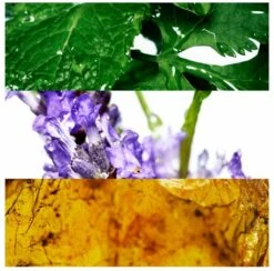 Davidoff Cool Water 75 Ml - Eau De Toilette - Herenparfum -Parfumwinkel 1200x1186 2