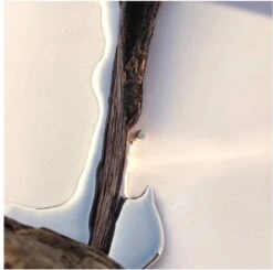 Hugo Boss Alive 80 Ml - Eau De Parfum - Damesparfum -Parfumwinkel 1200x1188 4