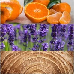 Calvin Klein Obsession 125 Ml - Eau De Toilette - Herenparfum -Parfumwinkel 1200x1194 3