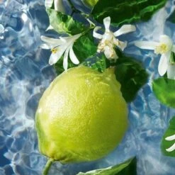 Guerlain - Aqua Allegoria Bergamote Calabria - Eau De Toilette - 75ML -Parfumwinkel 1200x1200 20