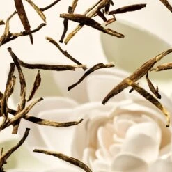 RITUALS The Ritual Of Karma Hair & Body Mist - 50 Ml -Parfumwinkel 1200x1200 210