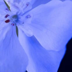 Yves Saint Laurent - Eau De Parfum - Y Le Parfum - 100 Ml -Parfumwinkel 1200x1200 289