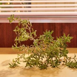 Gucci Guilty Pour Homme Parfum -Parfumwinkel 1200x1200 332