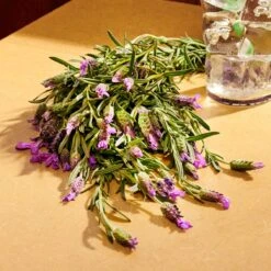 Gucci Guilty Pour Homme Parfum -Parfumwinkel 1200x1200 333