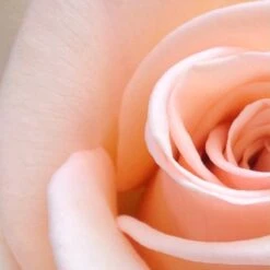 Spider-Man Geschenkset - Eau De Toilette 100 Ml & Douchegel 60 Ml - Met Toilettas 18 Spider-Man Geschenkset - Eau De Toilette 100 Ml & Douchegel 60 Ml - Met Toilettas -Parfumwinkel 1200x1200 489