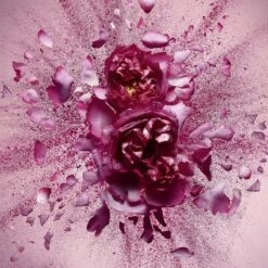 Viktor & Rolf Flowerbomb Nectar 50 Ml - Eau De Parfum - Damesparfum 24 Viktor & Rolf Flowerbomb Nectar 50 Ml - Eau De Parfum - Damesparfum -Parfumwinkel 1200x1200 50