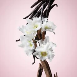 Viktor & Rolf Flowerbomb 50 Ml - Eau De Parfum - Damesparfum -Parfumwinkel 1200x1200 63