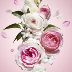 Viktor & Rolf Flowerbomb 50 Ml - Eau De Parfum - Damesparfum -Parfumwinkel 1200x1200 64