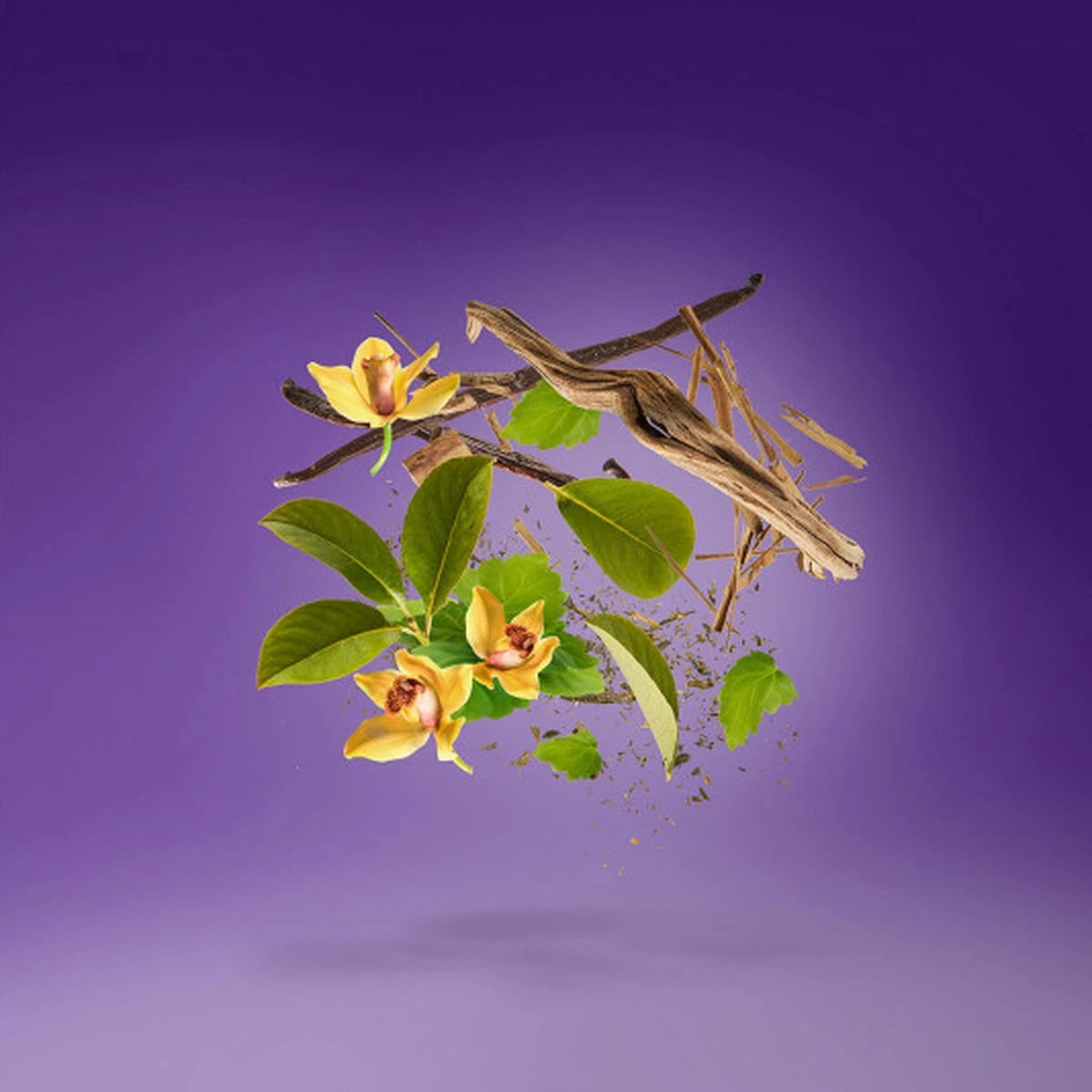 Xerjoff Laylati - 100ML - EAU DE PARFUM ( UNISEX ) 2 Xerjoff Laylati - 100ML - EAU DE PARFUM ( UNISEX ) - Afbeelding 2