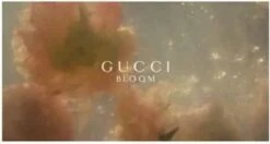 Gucci Bloom 100 Ml - Eau De Parfum - Damesparfum -Parfumwinkel 1200x641