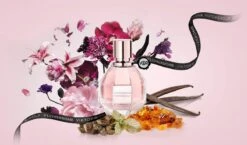 Viktor & Rolf Flowerbomb 50 Ml - Eau De Parfum - Damesparfum -Parfumwinkel 1200x705