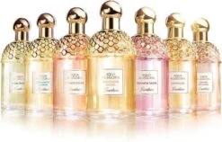 Guerlain - Aqua Allegoria Bergamote Calabria - Eau De Toilette - 75ML -Parfumwinkel 1200x767