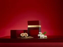 Guess Seductive Homme Red Eau De Toilette Spray 100 Ml For Men 7 Guess Seductive Homme Red Eau De Toilette Spray 100 Ml For Men -Parfumwinkel 1200x902 3