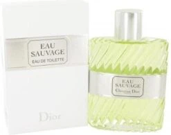 Dior Eau Sauvage 100 Ml - Eau De Toilette - Herenparfum 27 Dior Eau Sauvage 100 Ml - Eau De Toilette - Herenparfum -Parfumwinkel 1200x945 1