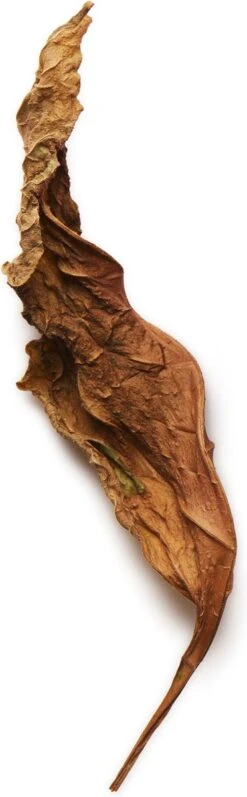 Giorgio Armani Acqua Di Gio Absolu 75ml - Eau De Parfum - Herenparfum -Parfumwinkel 372x1200 1