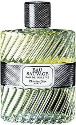 Dior Eau Sauvage 100 Ml - Eau De Toilette - Herenparfum 30 Dior Eau Sauvage 100 Ml - Eau De Toilette - Herenparfum -Parfumwinkel 731x1200 5